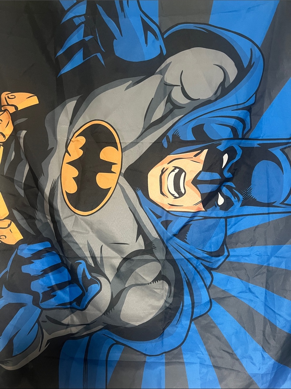 Batman Banner - Picture 2 of 4